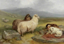 Картина "highland landscape with sheep and dogs" художника "кэмпбелл нобл джеймс"