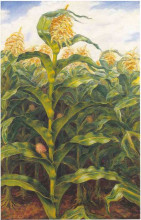 Копия картины "kansas cornfield" художника "кэрри джон стюарт"
