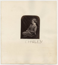 Репродукция картины "charley terry" художника "кэрролл льюис"