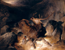 Репродукция картины "deer and deer hounds in a mountain torrent" художника "ландсир эдвин генри"