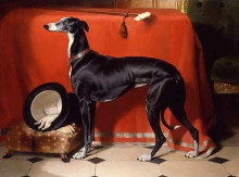 Репродукция картины "eos, a favorite greyhound of prince albert" художника "ландсир эдвин генри"