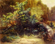 Репродукция картины "at the forest edge" художника "лебедев михаил"