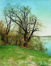 Репродукция картины "дуб на берегу реки" художника "левитан исаак"