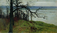 Копия картины "волга с высокого берега" художника "левитан исаак"