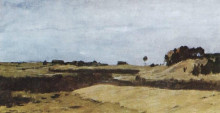 Копия картины "поля" художника "левитан исаак"