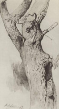 Копия картины "ствол старого дерева" художника "левитан исаак"