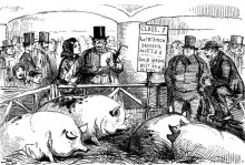 Копия картины "a pig pen at a cattle show" художника "лич джон"