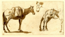 Картина "drawing of mules, including one full length" художника "лоррен клод"