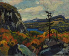Копия картины "early autumn, montreal river, algoma" художника "макдональд джеймс эдуард херви"