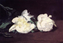 Картина "branch of white peonies and secateurs" художника "мане эдуард"