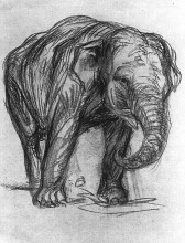 Копия картины "elephant" художника "марк франц"