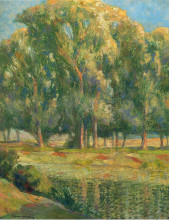 Картина "trees by the river" художника "мартен анри"