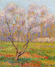 Картина "trees in bloom" художника "мартен анри"