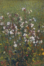 Картина "white flowers in the field" художника "мартен анри"