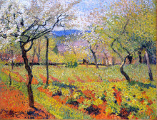 Репродукция картины "flowering garden in spring" художника "мартен анри"