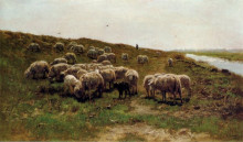 Копия картины "sheep on a dyke" художника "мауве антон"