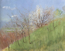 Копия картины "hildside at springtime (little landscape)" художника "меднянский ласло"