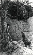 Репродукция картины "the big deer" художника "мерсон люк-оливье"