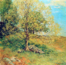 Репродукция картины "budding oak" художника "меткалф уиллард"