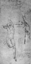 Картина "male nude and arm of bearded man" художника "микеланджело"