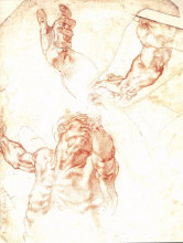 Копия картины "the study of adam" художника "микеланджело"