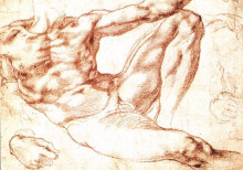 Репродукция картины "the study of adam" художника "микеланджело"