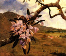 Репродукция картины "flores de mayo y paisaje" художника "михелена артуро"