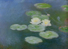 Картина "водяные лилии, вечерний эффект" художника "моне клод"