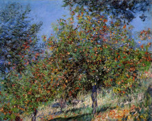 Копия картины "яблони на горе шантемель" художника "моне клод"
