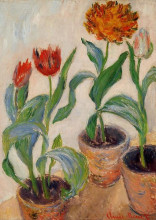 Репродукция картины "три горшка с тюльпанами" художника "моне клод"