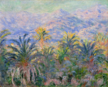 Репродукция картины "пальмы в бордигере" художника "моне клод"