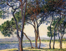 Репродукция картины "деревья на побережье в антибе" художника "моне клод"