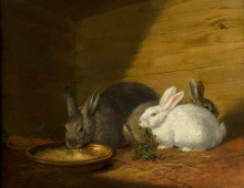 Картина "rabbits" художника "морланд джордж"