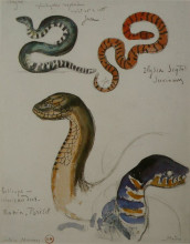 Картина "four studies of snakes" художника "моро гюстав"