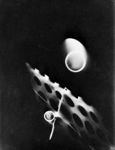 Картина "photogram" художника "мохой-надь ласло"