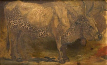Репродукция картины "roman ox (standing)" художника "мэйсон джордж хэмминг"