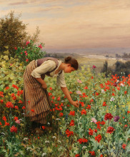 Репродукция картины "girl picking poppies" художника "найт дэниел риджуэй"