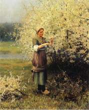 Картина "spring blossoms" художника "найт дэниел риджуэй"