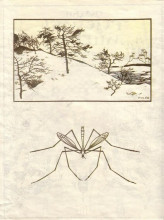 Картина "illustration. &#39;fairy tales: teremok. mizgir&#39;." художника "нарбут георгий"
