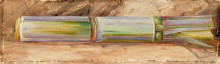 Картина "a piece of sugar cane" художника "норт марианна"