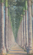 Репродукция картины "royal palm avenue" художника "норт марианна"