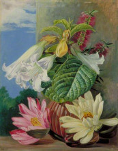 Копия картины "flowers cultivated in the botanic garden, rio janeiro, brazil" художника "норт марианна"