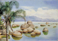 Картина "palm trees and boulders in the bay of rio, brazil" художника "норт марианна"