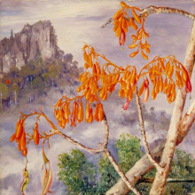 Копия картины "limestone mountains of sarawak, borneo" художника "норт марианна"