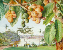 Репродукция картины "view from the istana, sarawak, borneo" художника "норт марианна"