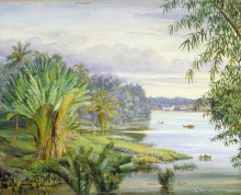 Картина "view of kuching and river, sarawak, borneo" художника "норт марианна"