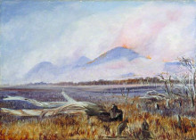 Копия картины "a bush fire at sunset, queensland" художника "норт марианна"