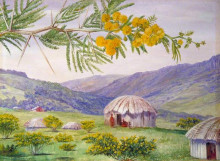 Картина "the south african doornboom and fingo huts" художника "норт марианна"