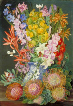 Копия картины "wild flowers of ceres, south africa" художника "норт марианна"