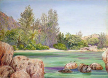 Картина "life on the coast of praslin, seychelles" художника "норт марианна"